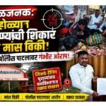 बुलढाणा वनविभागाकडे गंभीर तक्रार: किन्होळा शिवारात वन्यप्राण्यांची अवैध शिकार व मांस विक्री; पोलीस पाटलावर गंभीर आरोप