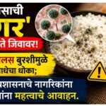 उपवासाची ‘भगर’ बेतू शकते जिवावर! अस्परजिलस बुरशीमुळे अन्न विषबाधेचा धोका; आरोग्य प्रशासनाचे नागरिकांना व विक्रेत्यांना महत्त्वाचे आवाहन..