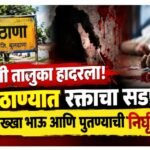 चिखली तालुका हादरला:सोमठाण्यात आई, सख्खा भाऊ आणि पुतण्याची निर्घृण हत्या; शेतीच्या वादातून तिहेरी हत्याकांड; आरोपी दीपक सुरडकर फरार, पोलिसांकडून शोध सुरू