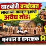 💥घाटबोरी वनक्षेत्रात ५३ लाखांच्या सागवान वृक्षांची अवैध तोड; दोन तस्करांना अटक, वनपाल व वनरक्षक निलंबित💥